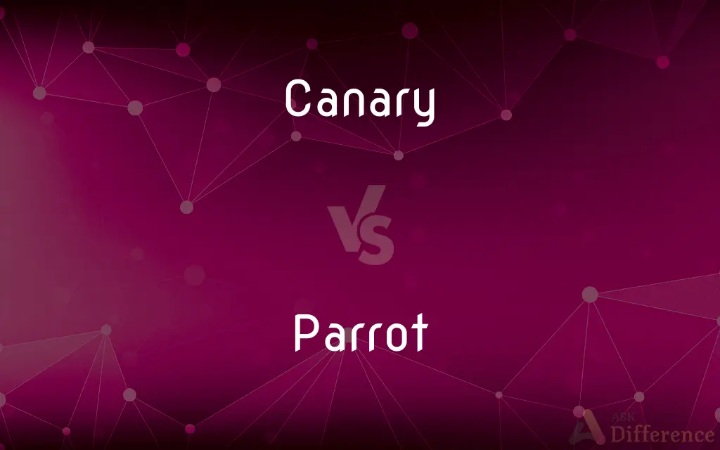 Canary vs. Parrot — What's the Difference?