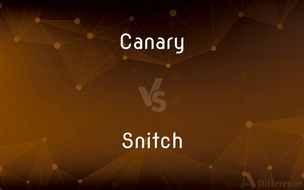 Canary vs. Snitch — What's the Difference?