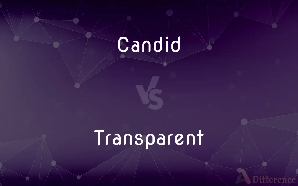Candid vs. Transparent — What's the Difference?