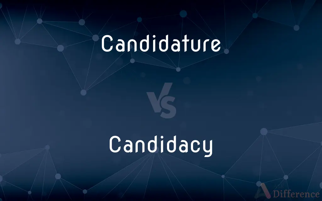 Candidature vs. Candidacy — What's the Difference?