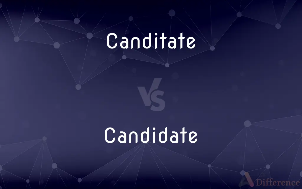 Canditate vs. Candidate — Which is Correct Spelling?