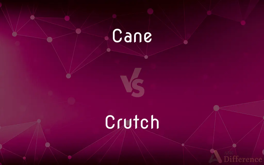 Cane vs. Crutch — What's the Difference?
