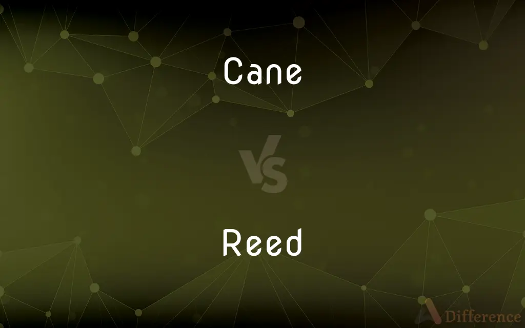 Cane vs. Reed — What's the Difference?