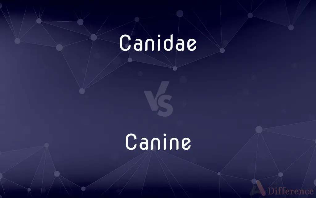 Canidae vs. Canine — What's the Difference?