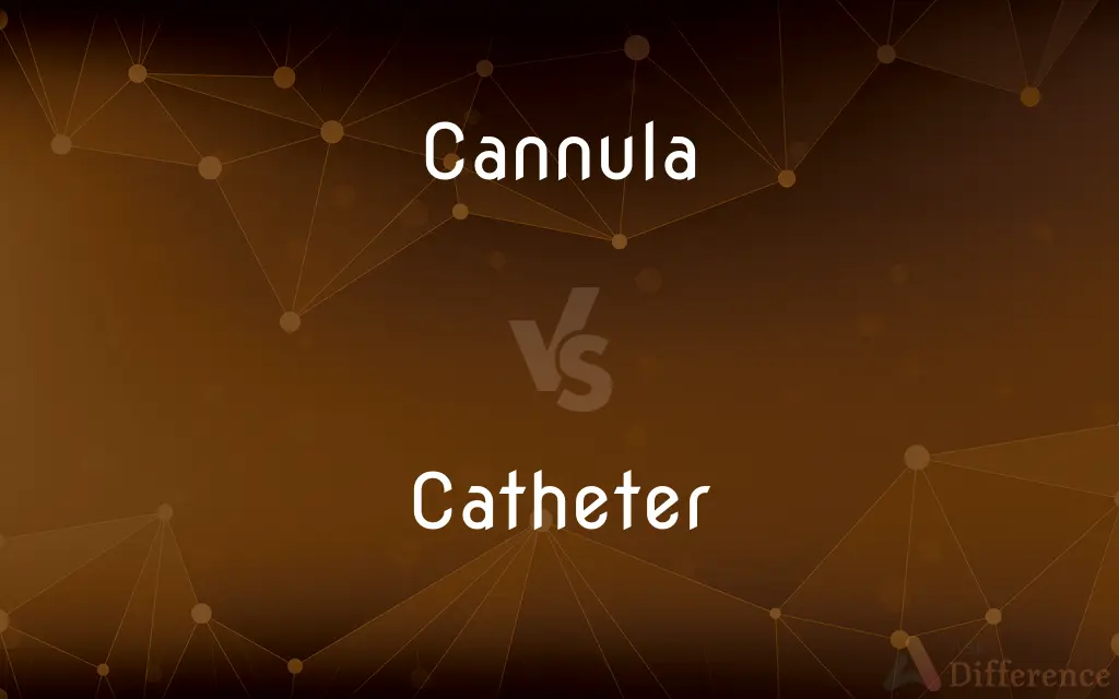Cannula vs. Catheter — What's the Difference?