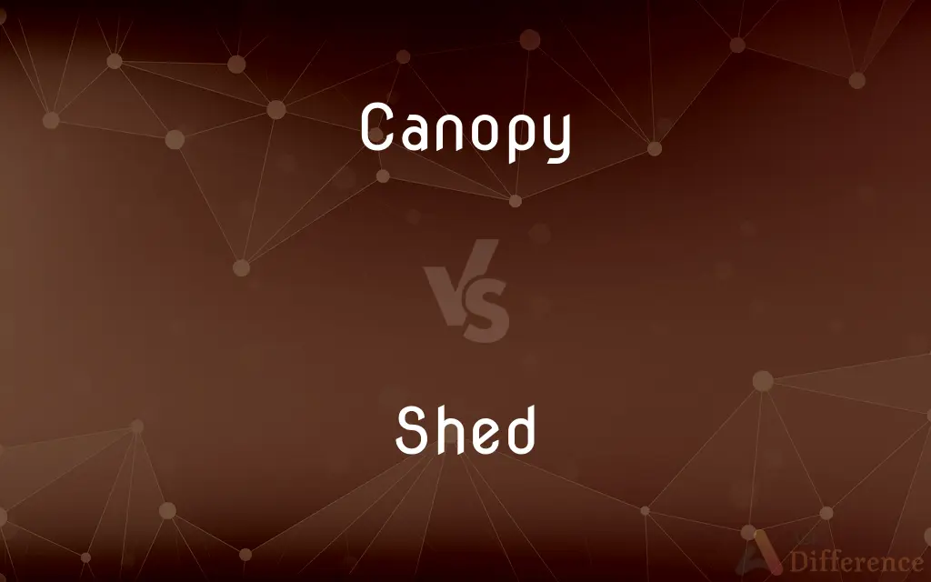 Canopy vs. Shed — What's the Difference?