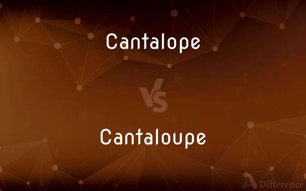 Cantalope vs. Cantaloupe — Which is Correct Spelling?
