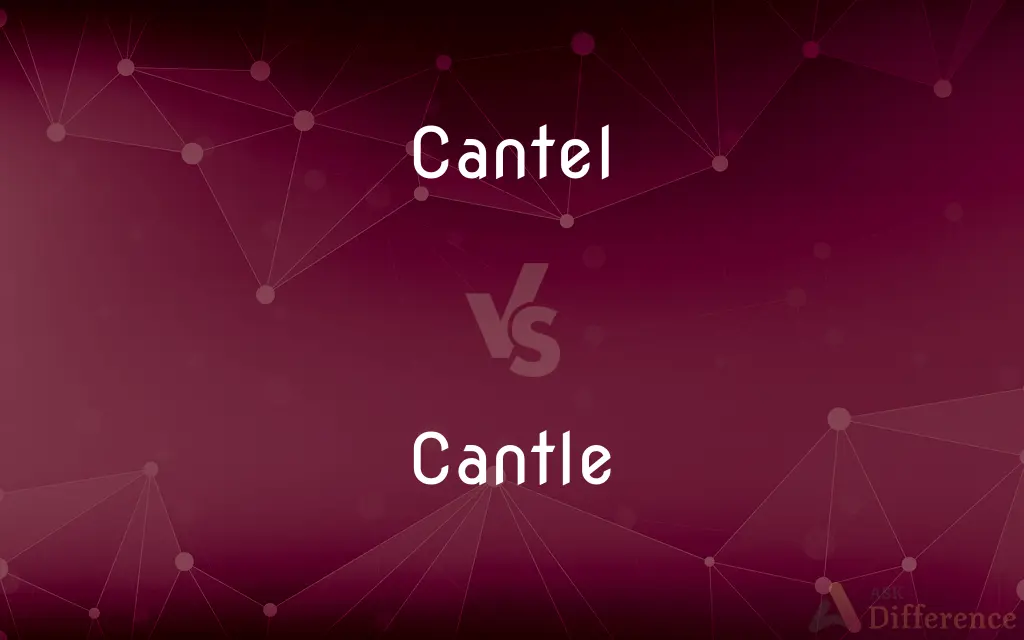 Cantel vs. Cantle — Which is Correct Spelling?