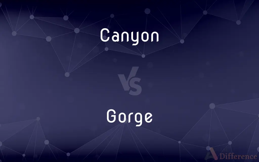 Canyon vs. Gorge — What's the Difference?