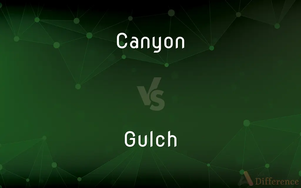 Canyon vs. Gulch — What's the Difference?