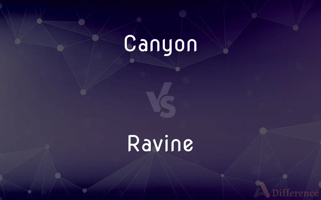 Canyon vs. Ravine — What's the Difference?