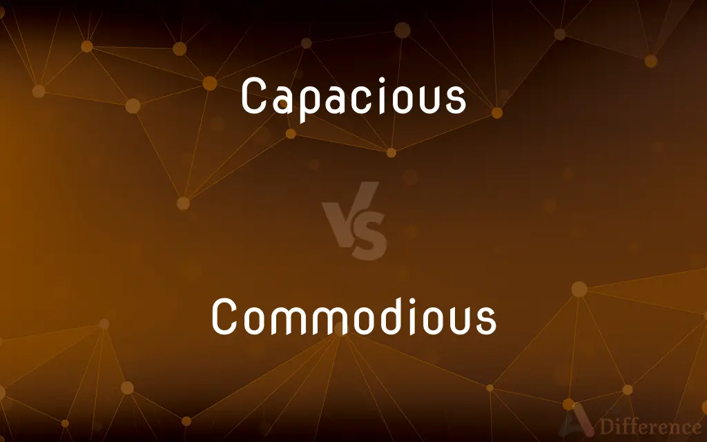 Capacious vs. Commodious — What's the Difference?