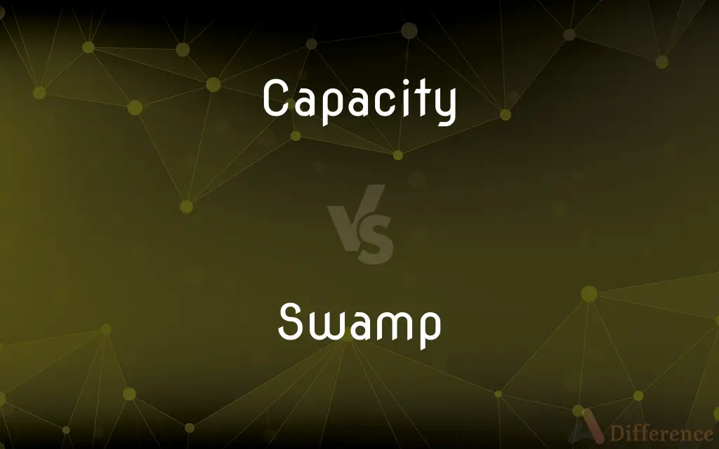 Capacity vs. Swamp — What's the Difference?