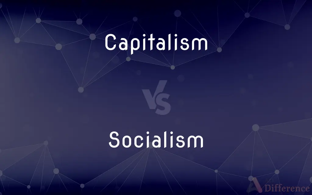 Capitalism vs. Socialism — What's the Difference?