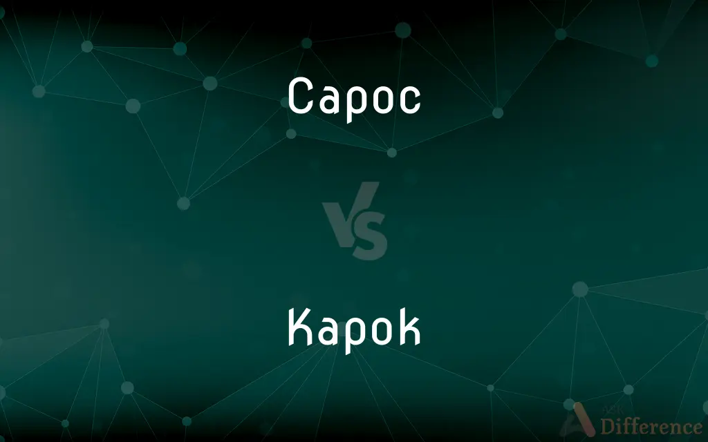 Capoc vs. Kapok — What's the Difference?