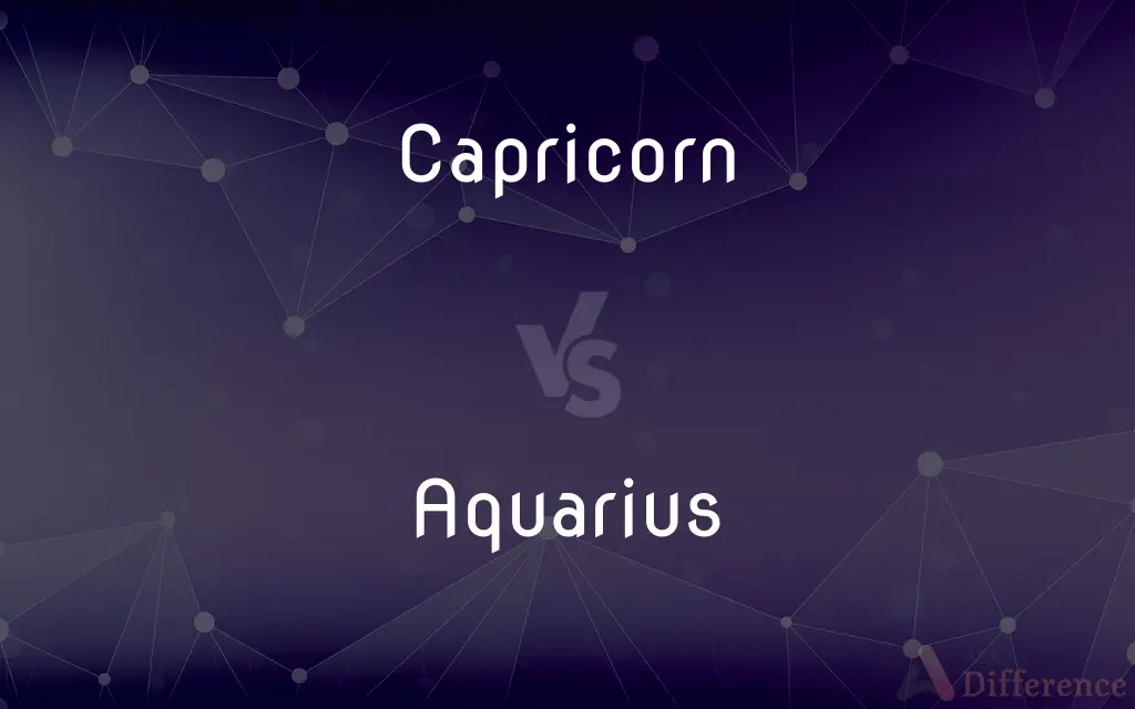 Capricorn vs. Aquarius — What's the Difference?