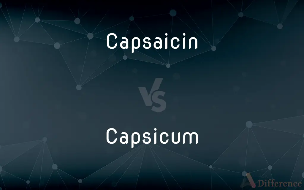 Capsaicin vs. Capsicum — What's the Difference?