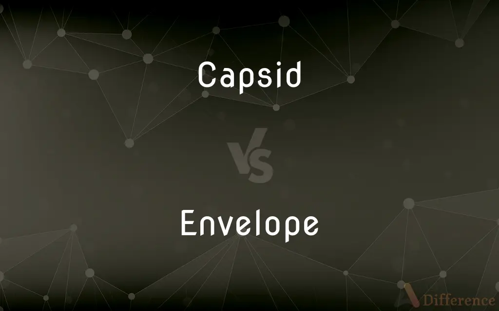 Capsid vs. Envelope — What's the Difference?