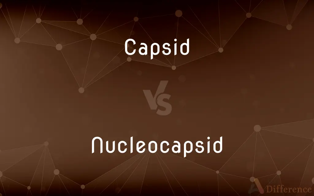 Capsid vs. Nucleocapsid — What's the Difference?