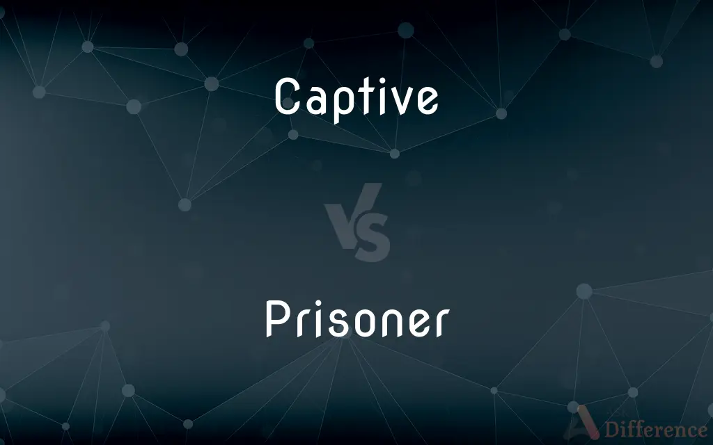 Captive vs. Prisoner — What's the Difference?