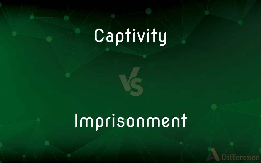 Captivity vs. Imprisonment — What's the Difference?