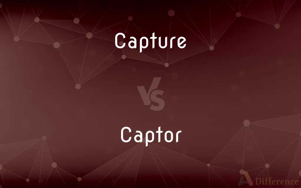Capture vs. Captor — What's the Difference?
