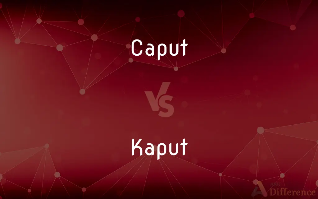 Caput vs. Kaput — What's the Difference?