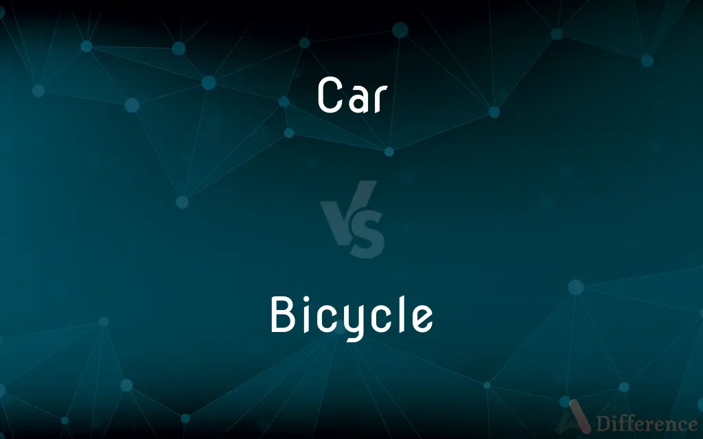 Car vs. Bicycle — What's the Difference?