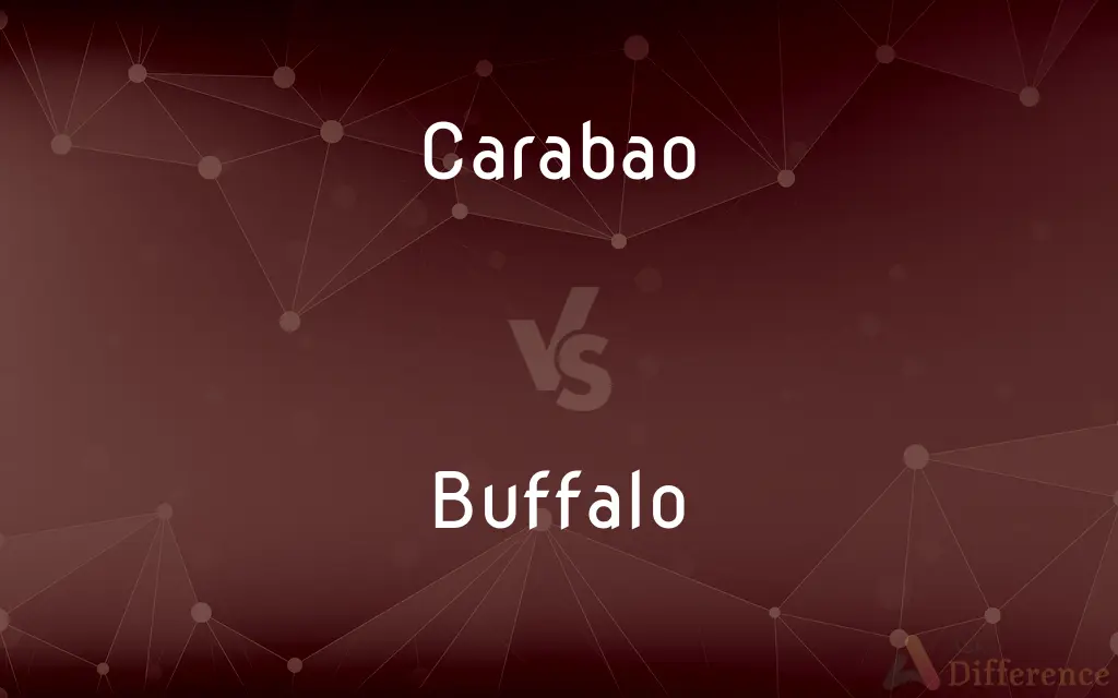 Carabao vs. Buffalo — What's the Difference?