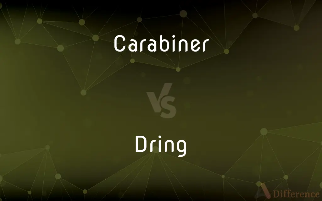 Carabiner vs. Dring — What's the Difference?