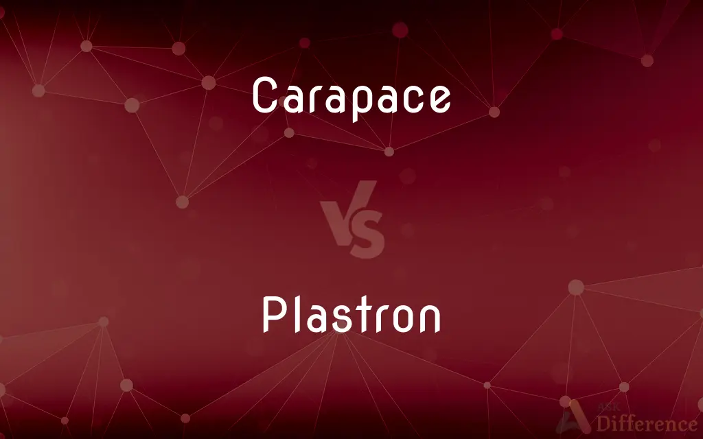 Carapace vs. Plastron — What's the Difference?