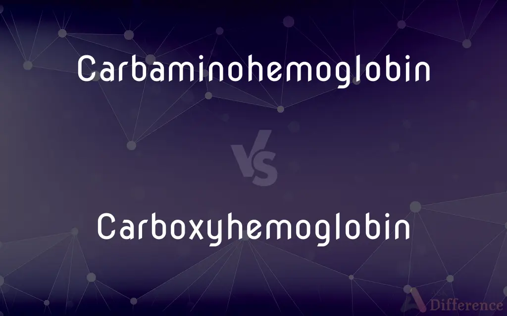 Carbaminohemoglobin vs. Carboxyhemoglobin — What's the Difference?