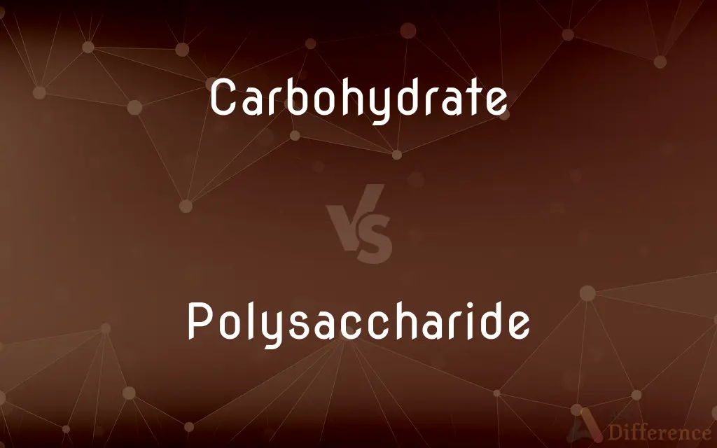 Carbohydrate vs. Polysaccharide — What's the Difference?
