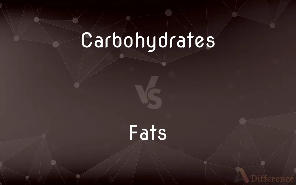 Carbohydrates vs. Fats — What's the Difference?