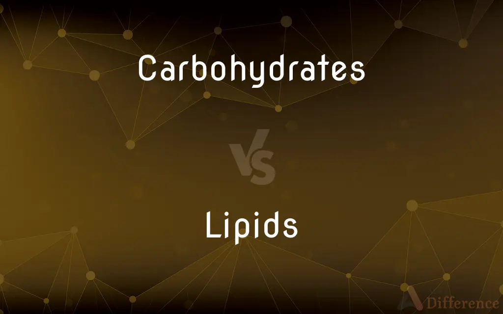 Carbohydrates vs. Lipids — What's the Difference?
