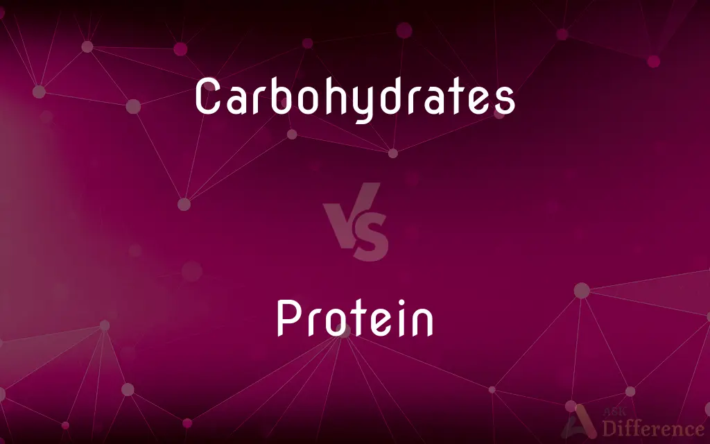 Carbohydrates vs. Protein — What's the Difference?