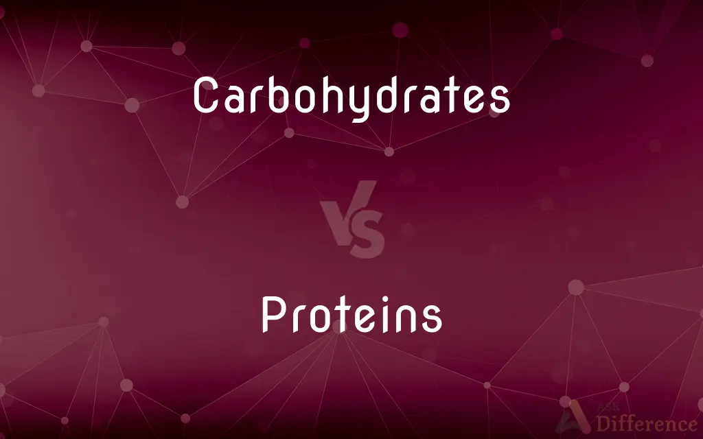 Carbohydrates vs. Proteins — What's the Difference?