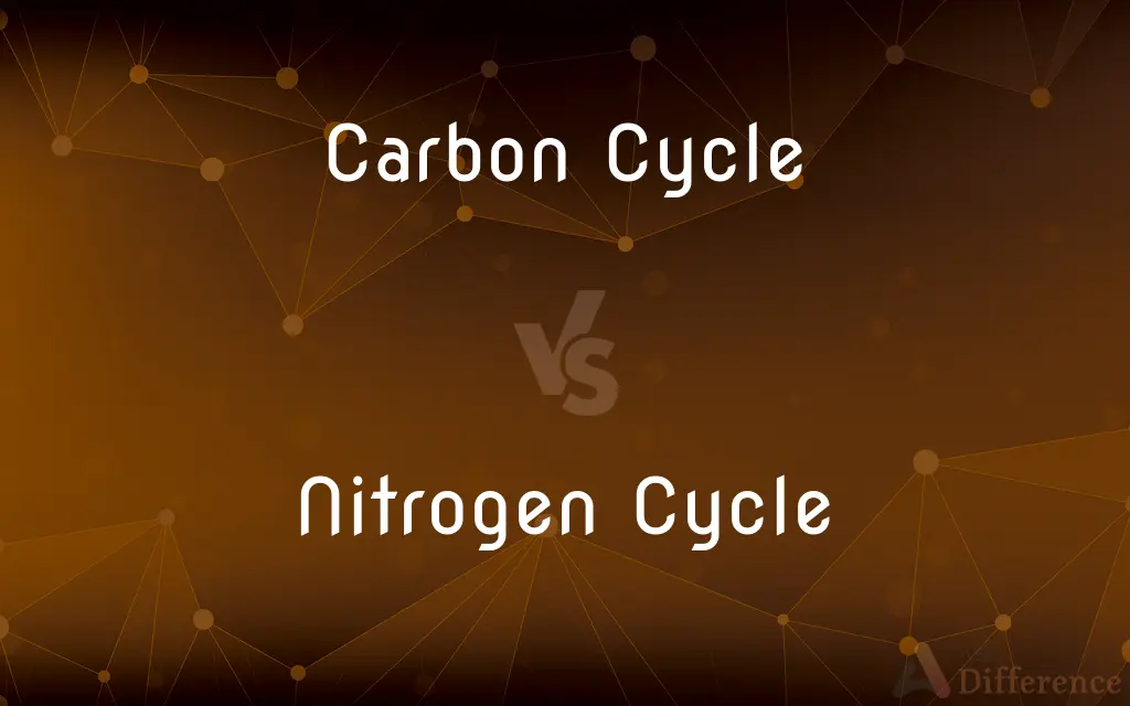 Carbon Cycle vs. Nitrogen Cycle — What's the Difference?