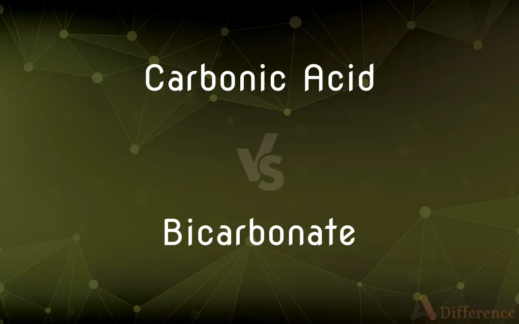 Carbonic Acid vs. Bicarbonate — What's the Difference?