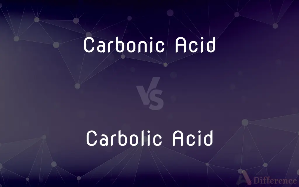Carbonic Acid vs. Carbolic Acid — What's the Difference?