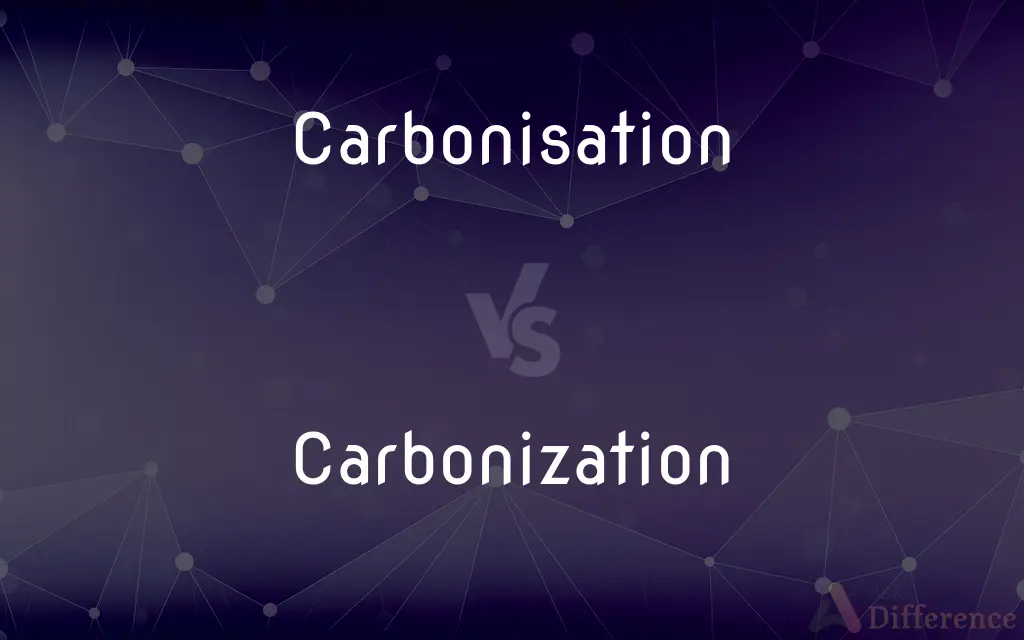 Carbonisation vs. Carbonization — What's the Difference?