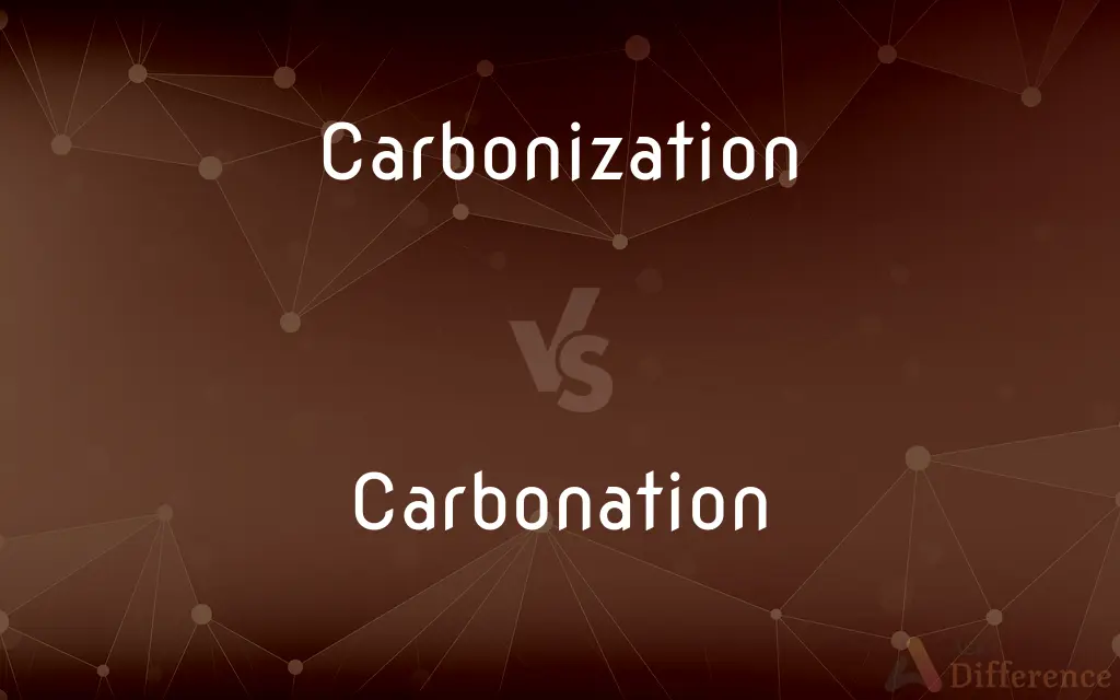 Carbonization vs. Carbonation — What's the Difference?