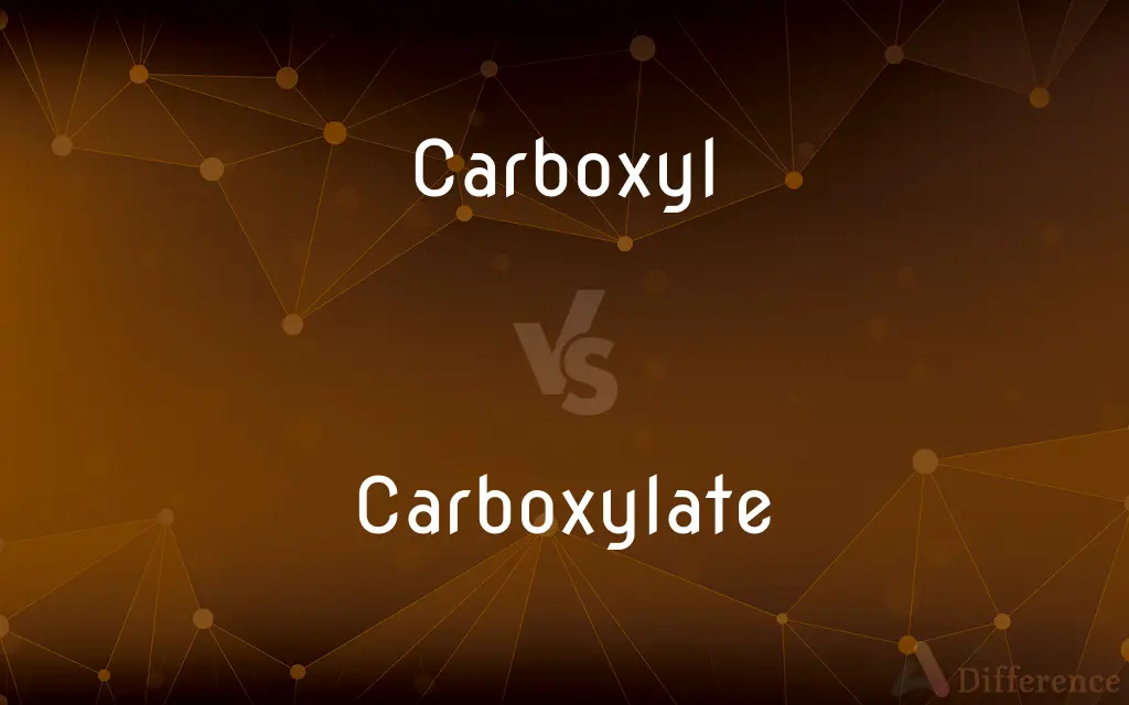 Carboxyl vs. Carboxylate — What's the Difference?