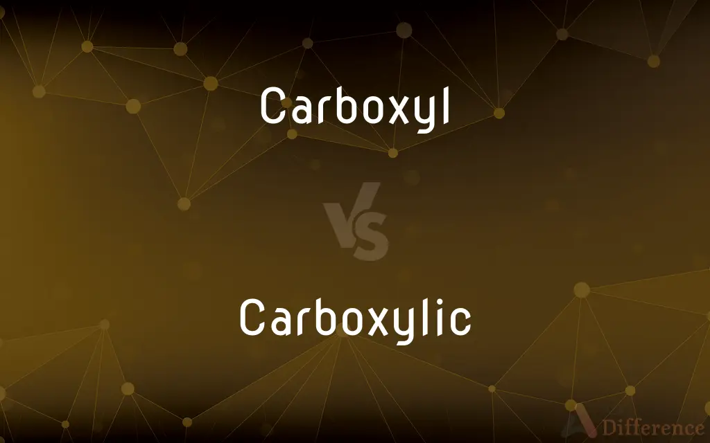 Carboxyl vs. Carboxylic — What's the Difference?
