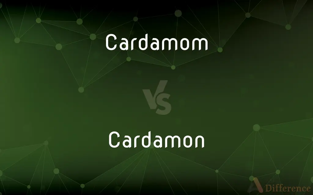 Cardamom vs. Cardamon — Which is Correct Spelling?
