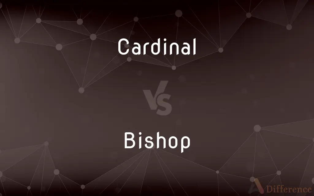 Cardinal vs. Bishop — What's the Difference?