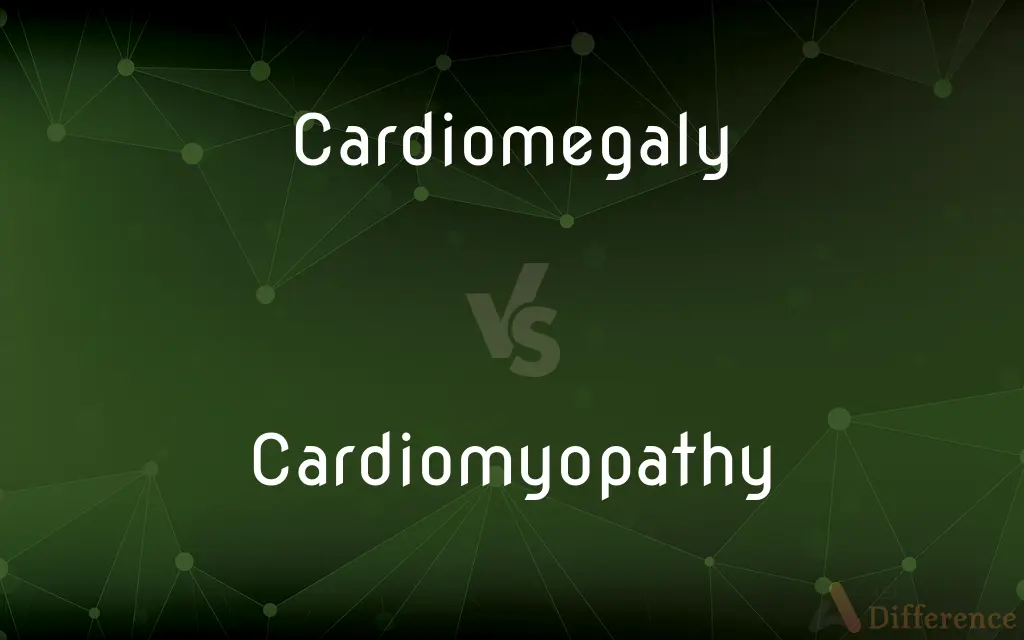Cardiomegaly vs. Cardiomyopathy — What's the Difference?