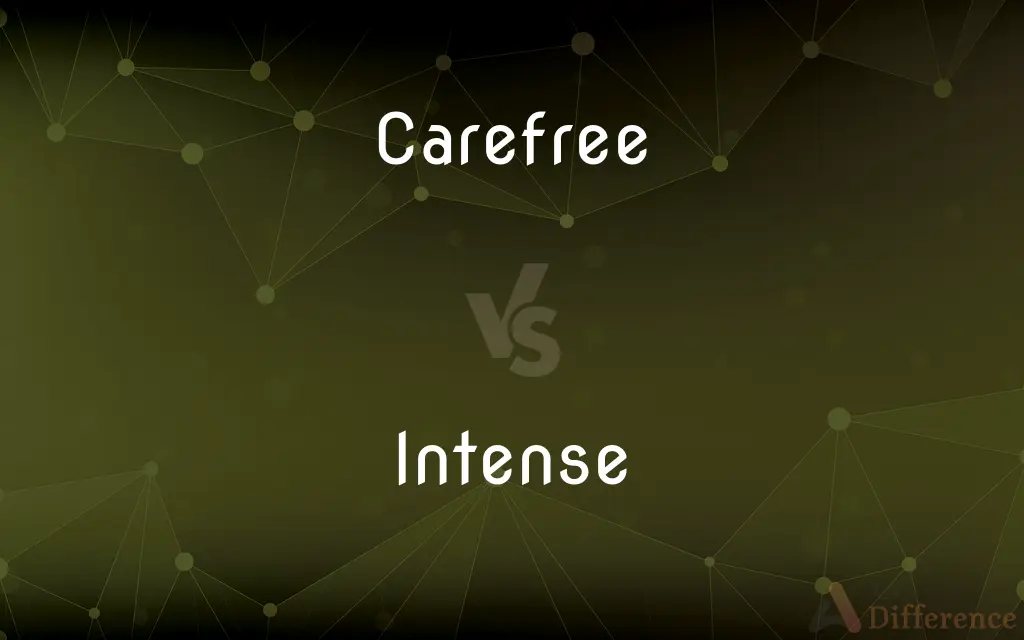 Carefree vs. Intense — What's the Difference?