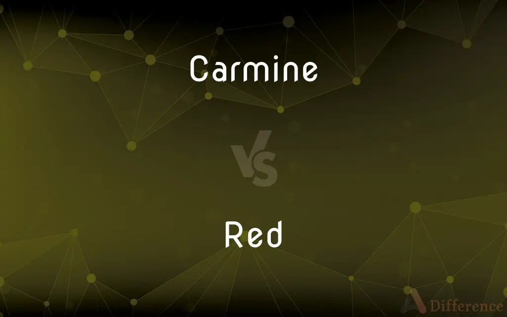 Carmine vs. Red — What's the Difference?