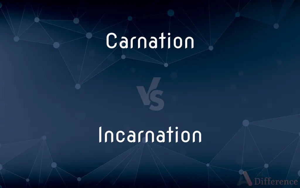 Carnation vs. Incarnation — What's the Difference?